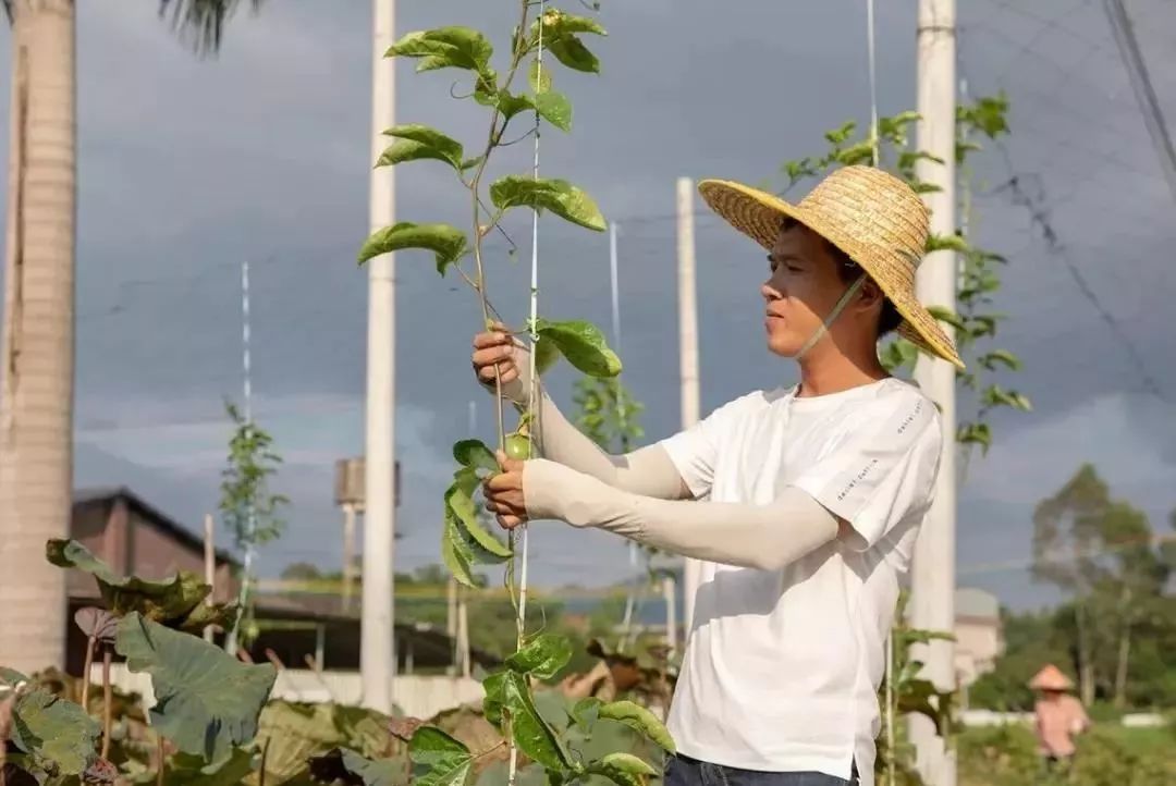 致富水泥种植项目介绍_水泥种植物_水泥种植致富项目