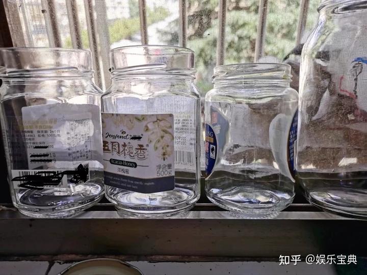 种辣椒剪枝视频教程_辣椒种植方法和时间和修剪_剁辣椒的种植技术