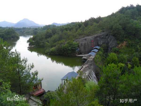 唐竹种植致富_竹林致富_竹业加工致富经