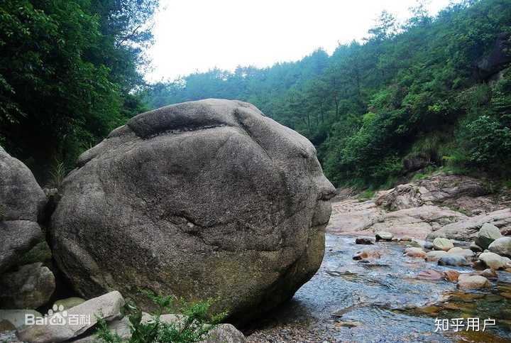 竹林致富_唐竹种植致富_竹业加工致富经