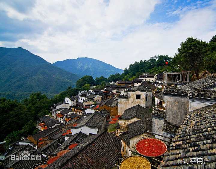 竹业加工致富经_唐竹种植致富_竹林致富