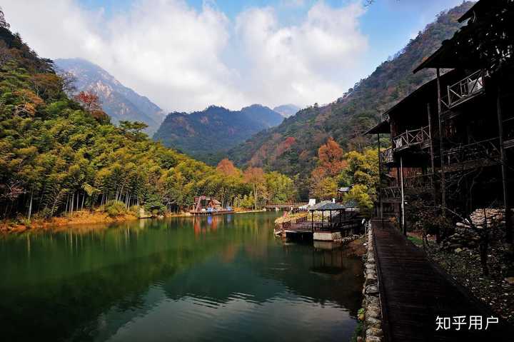 唐竹种植致富_竹林致富_竹业加工致富经