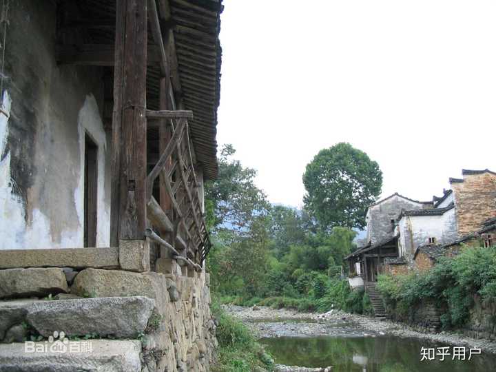 唐竹种植致富_竹林致富_竹业加工致富经