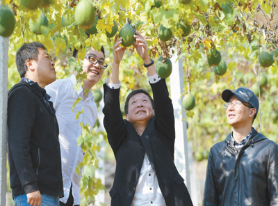 微信卖土鸡蛋销售方案_致富经微信卖土鸡蛋_致富鸡蛋卖微信土话怎么说