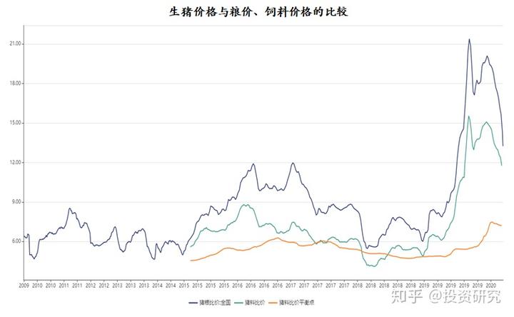 致富经猪跑道_致富起跑线_养殖吃草猪致富视频