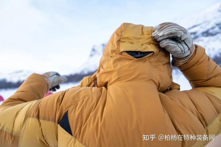 致富经山鼠养殖_致富经养山鼠视频_致富经养老鼠