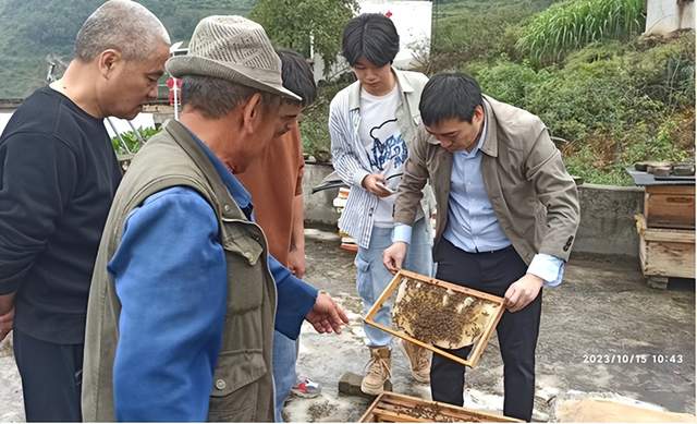 蜜蜂养殖书籍下载_蜜蜂养殖技术书籍在线阅读_蜜蜂养殖书籍哪一本好