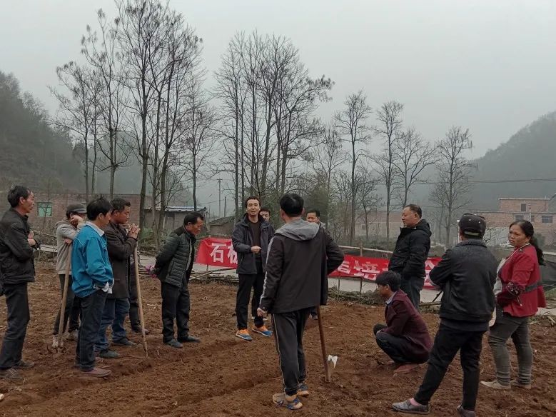 农业视频软件_农业视频下载_农广种植技术视频下载