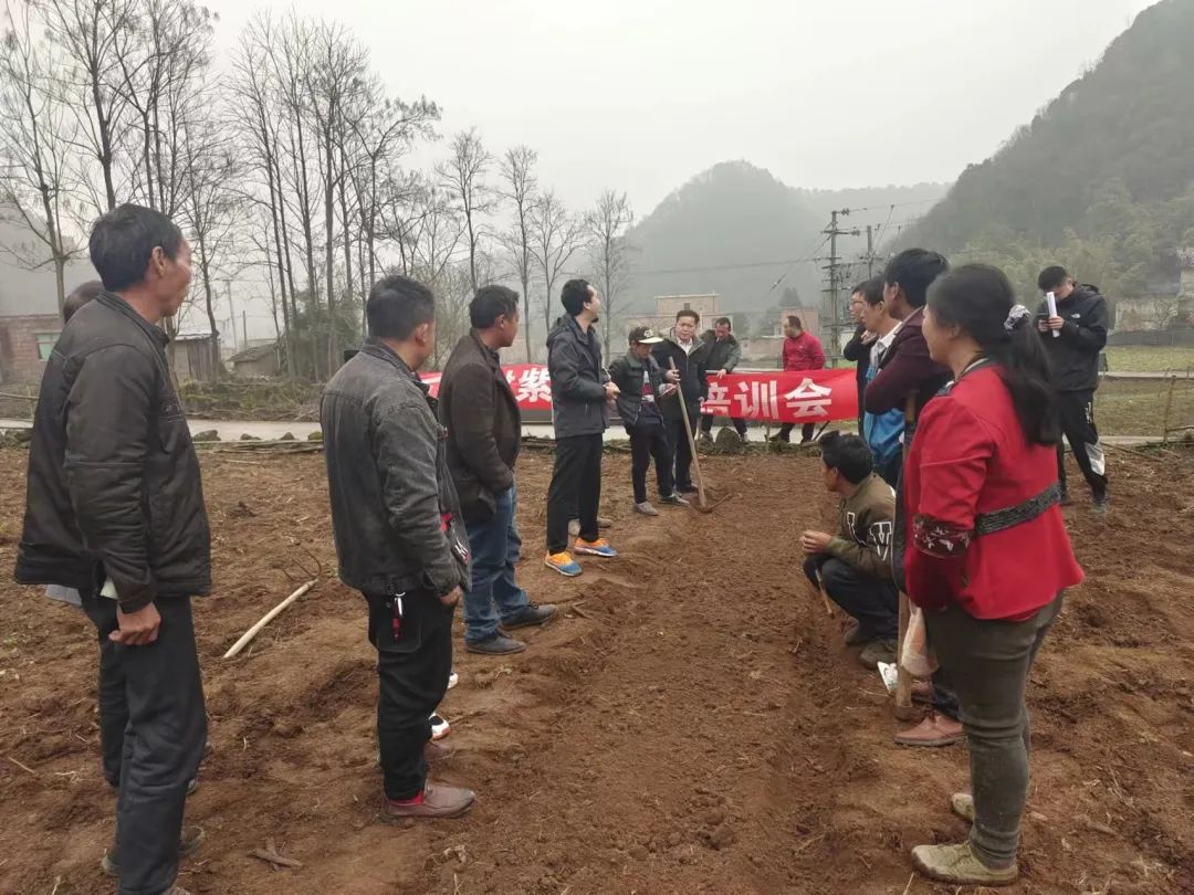 农业视频下载_农业视频软件_农广种植技术视频下载