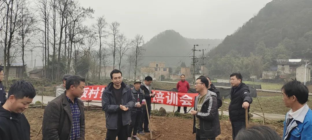 农业视频下载_农业视频软件_农广种植技术视频下载