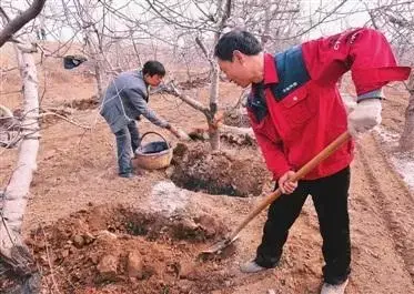 关于种植致富_致富种植业_致富种植创业项目