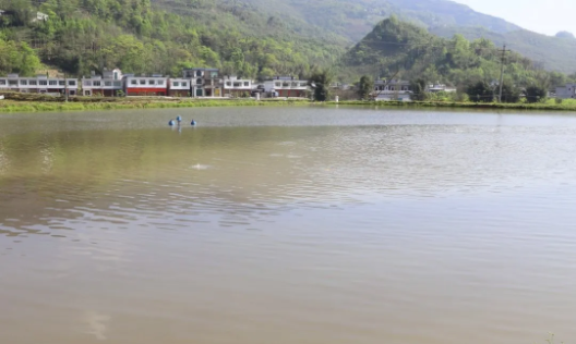 家庭养殖冷水鱼_致富冷水养殖鱼图片_冷水鱼养殖致富