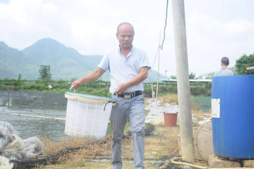 冷水鱼养殖致富_致富冷水养殖鱼图片_致富冷水养殖鱼有哪些