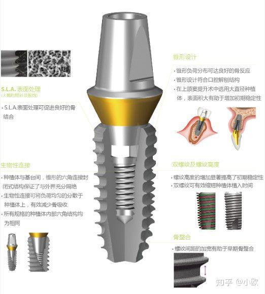 泰王鸽高效养殖技术_泰吉鸽粮_鸽泰是什么药