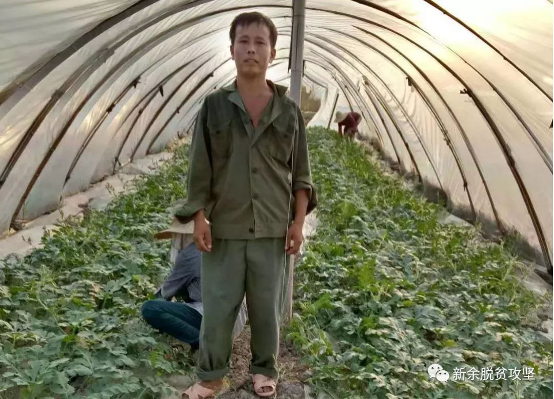 致富西瓜种植故事视频_致富西瓜种植故事大全_种植西瓜致富故事