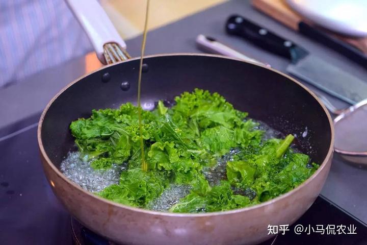 高山种植甘蓝致富_种植甘蓝的成本和利润_致富高山种植甘蓝视频