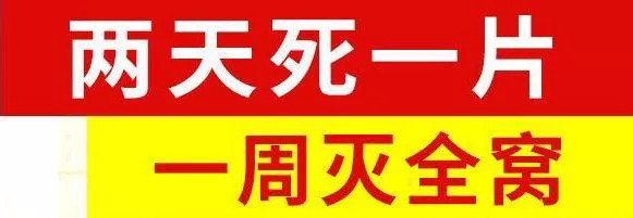 2021松鼠养殖成本及利润_松鼠如何养殖致富_养殖松鼠赚钱吗