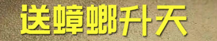 2021松鼠养殖成本及利润_松鼠如何养殖致富_养殖松鼠赚钱吗