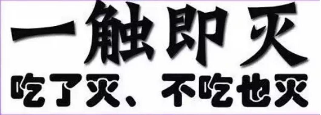 松鼠如何养殖致富_2021松鼠养殖成本及利润_养殖松鼠赚钱吗