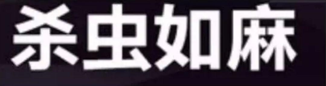 养殖松鼠赚钱吗_松鼠如何养殖致富_2021松鼠养殖成本及利润