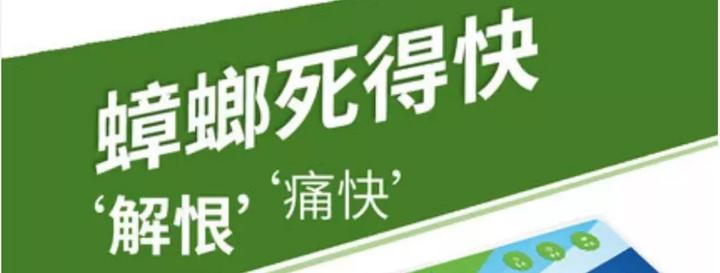 养殖松鼠赚钱吗_松鼠如何养殖致富_2021松鼠养殖成本及利润