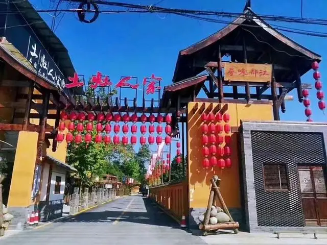 养殖山鸡前景怎么样_致富养殖山鸡图片_致富经山鸡养殖