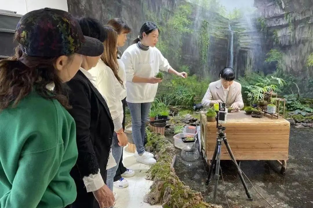 苔藓种植效益_种植苔藓致富能手_苔藓种植视频教程