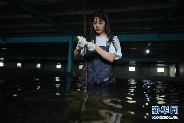 养河豚的视频_致富经养河豚视频_河豚养殖技术视频