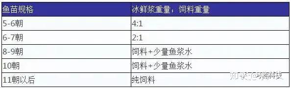 鲈鱼养殖最新技术视频_斗门鲈鱼养殖技术视频_鲈鱼养殖技术视频致富经