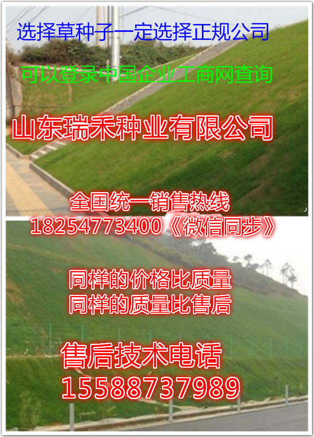 草坪种植技术视频_草坪种植草技术视频_草坪草种植技术