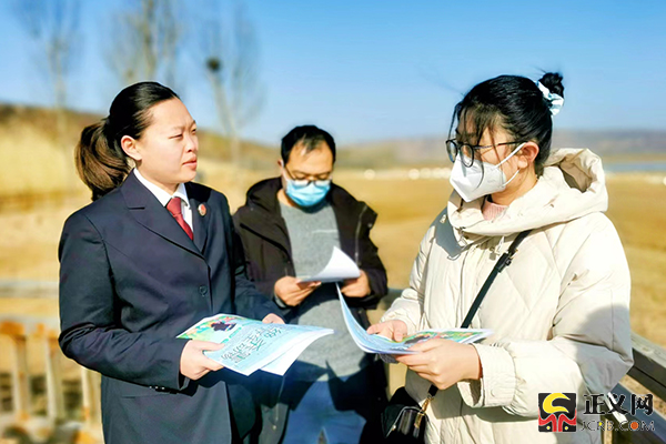 天鹅养殖场_白天鹅养殖技术_天鹅人工养殖