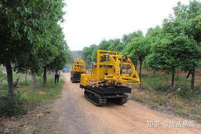 致富种植视频全集_致富经花卉种植视频_cctv7致富经视频苗木绿化