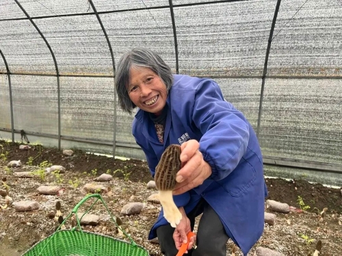 致富种植视频全集_农民致富种植项目_新余种植致富