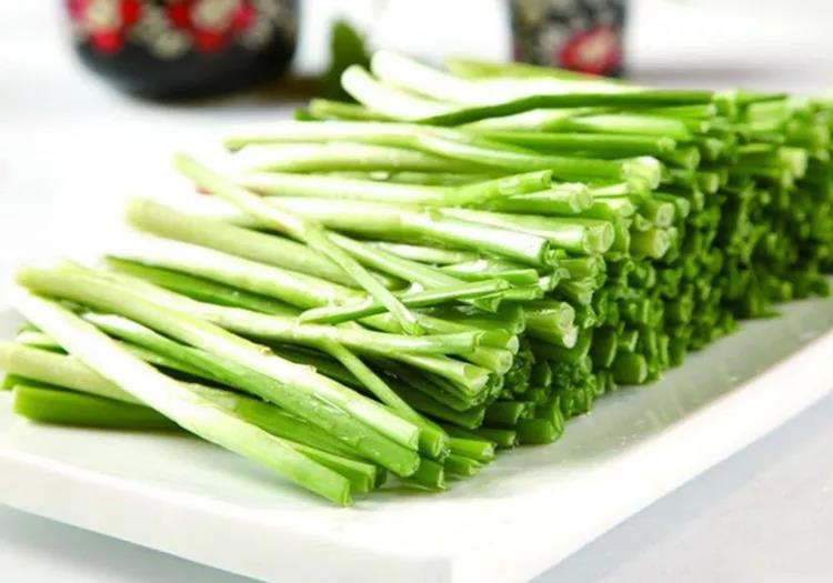 韭菜种植视频播放_韭菜种植视频教程_红韭菜怎么种植技术视频