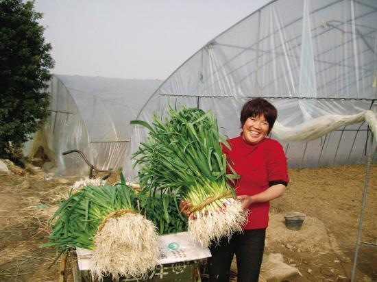 致富种植结合的植物_种植结合如何致富_种植致富经