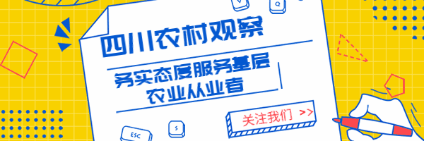 内江|村民返乡办农场，养蛙“蹦”出致富路