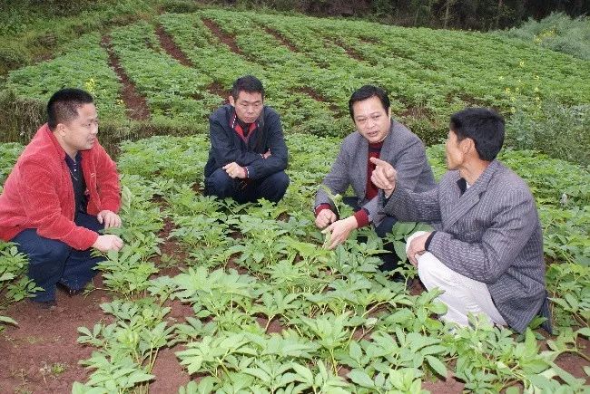 种植大户的现状和发展方向，今后什么样的种植户更赚钱？