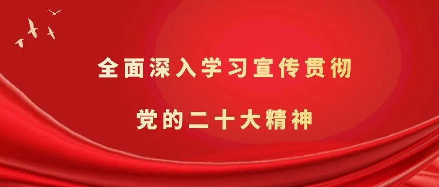 河北农村种植致富项目_河北农业种植致富_河北种植业什么前景最好