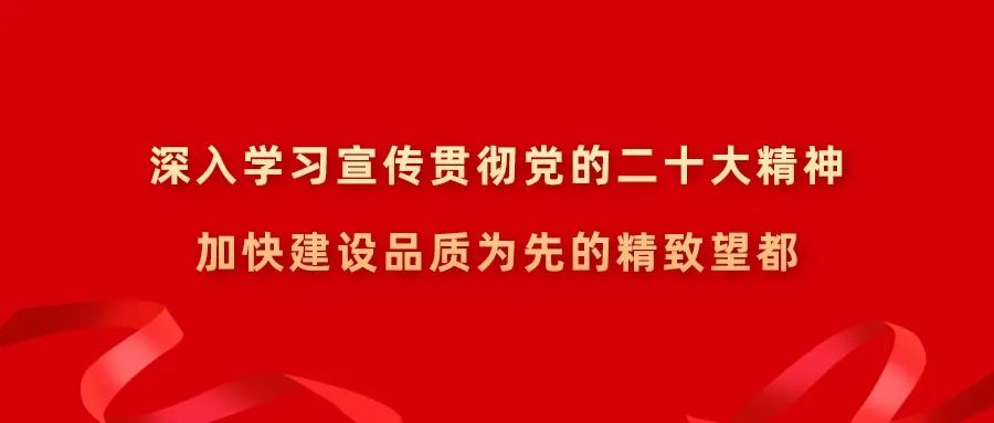 河北种植业什么前景最好_河北农业种植致富_河北农村种植致富项目