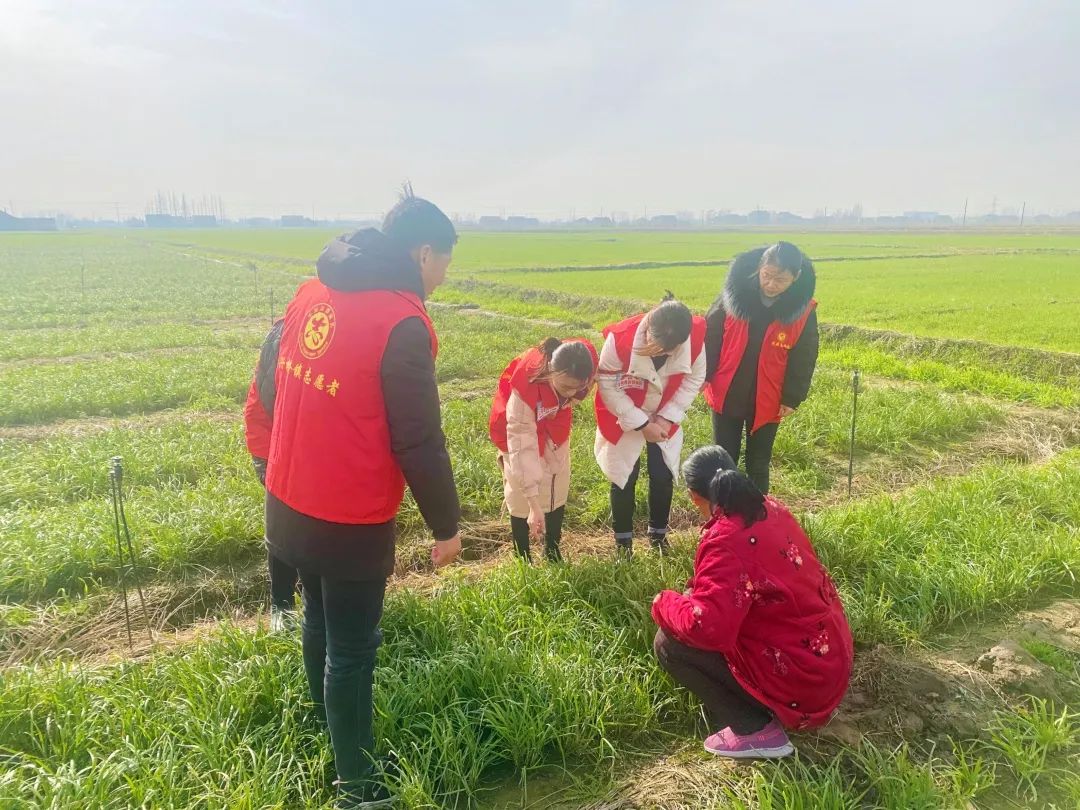 电教优质课课例特点_电教优质课案例_电教优质课学习经验