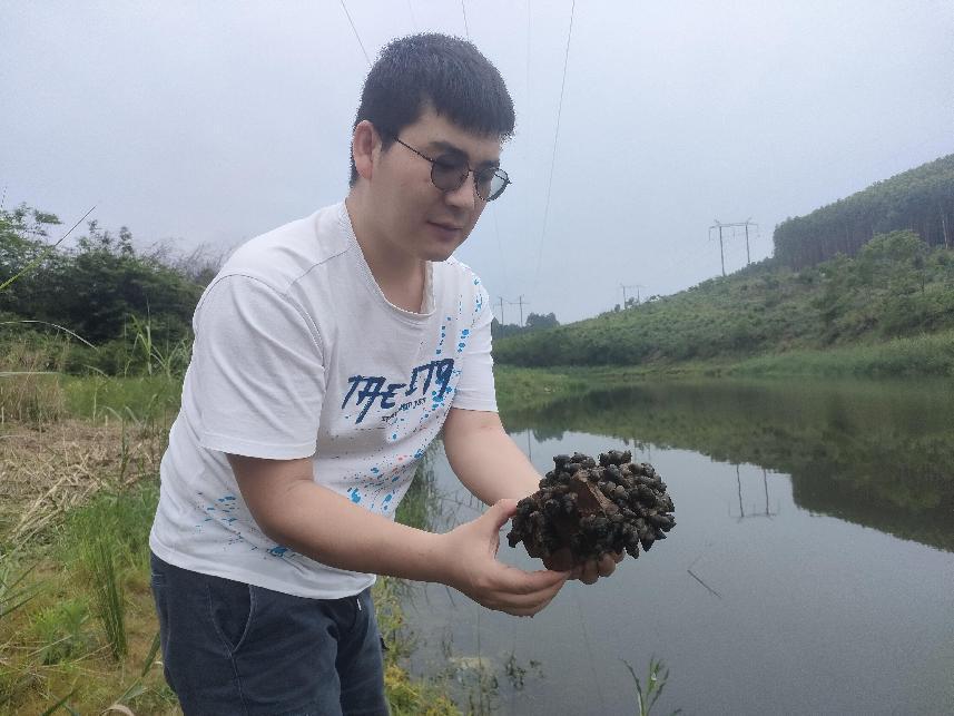 螺蛳养殖技术视频教程_如何养殖螺蛳技术视频_螺蛳养殖技术免费视频教程
