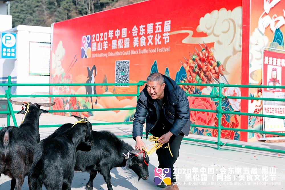 致富经黑山羊养殖视频_致富经黑山羊养殖场的视频_农村黑山羊养殖视频