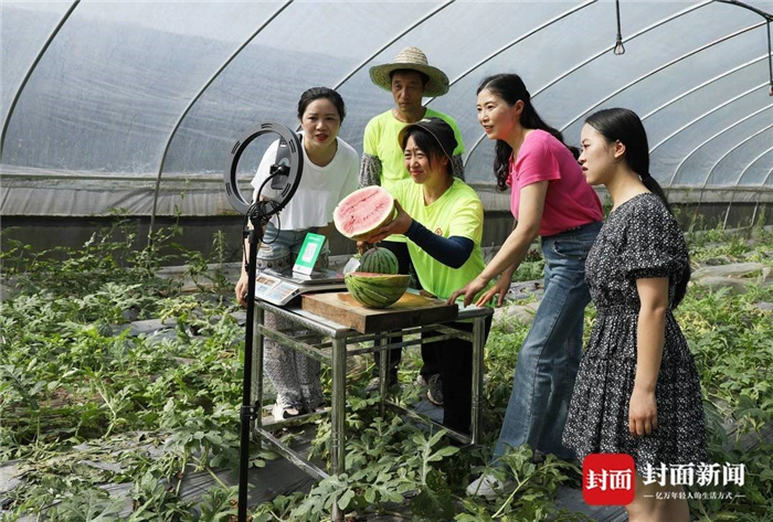 农户种植致富案例_农村致富案例_农民种植致富