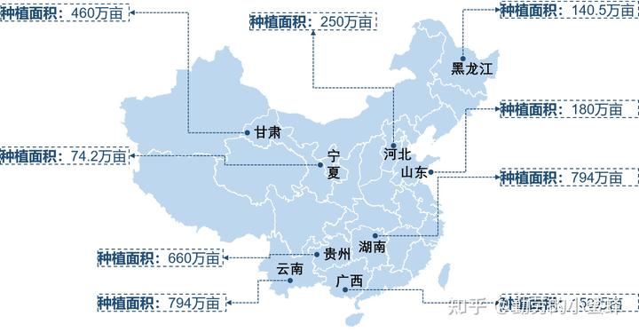 致富经2020年中药材_药材种植的致富带头人_中药材种植致富