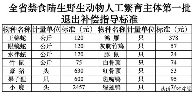 湖南养殖豪猪技术_湖南哪里有豪猪苗专卖_湖南豪猪养殖基地