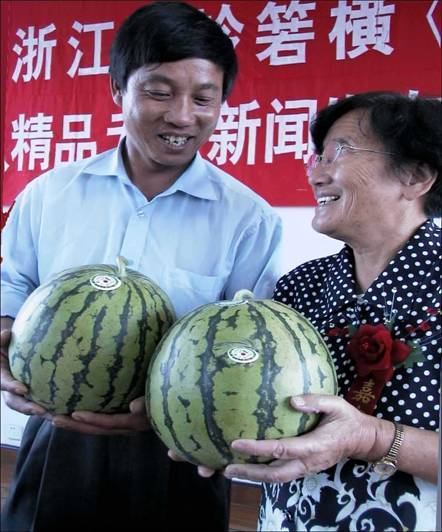 农业种植致富项目西瓜_种植西瓜致富视频_视频致富西瓜种植教程