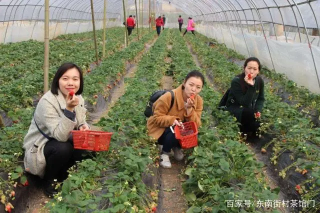 致富养殖老宅项目介绍_老宅养殖致富项目_农村致富养殖