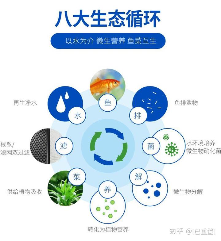 致富经石蛙鱼共生_致富经石蛙养殖技术视频_致富经石蛙