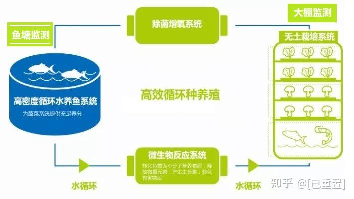 致富经石蛙养殖技术视频_致富经石蛙鱼共生_致富经石蛙