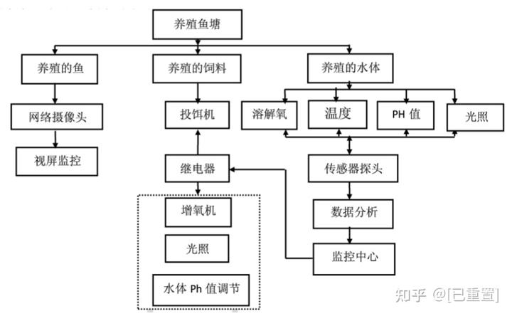 致富经石蛙养殖技术视频_致富经石蛙鱼共生_致富经石蛙